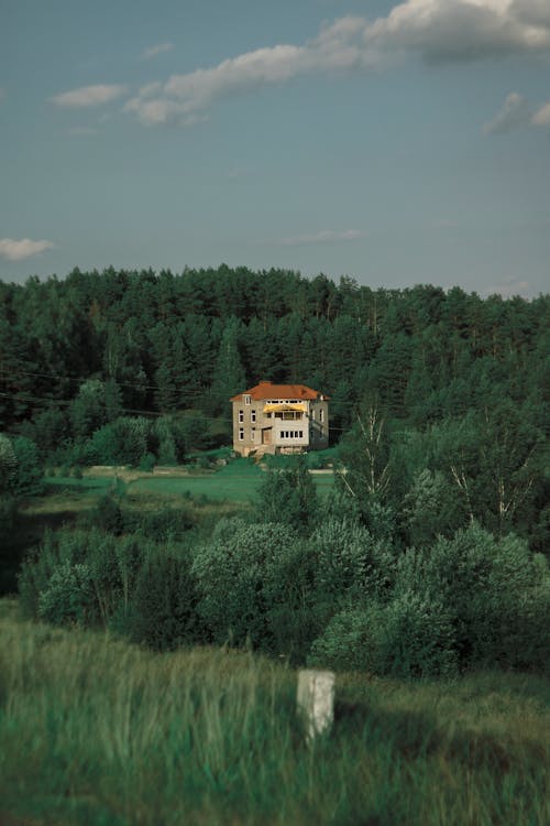 A House Surrounded by Green Trees Under the Blue Sky and White Clouds