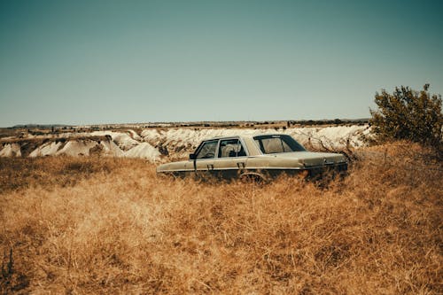 Gratis arkivbilde med åker, bil, brunt gress