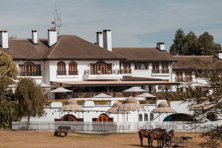 Horses In Front Of Hotel With Restaurant