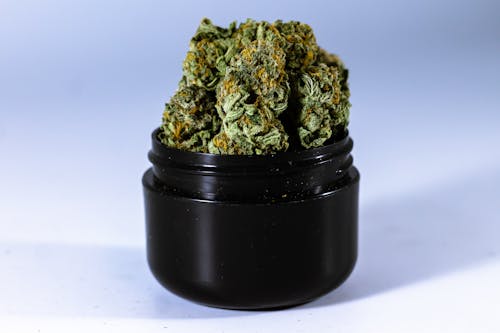 Kostenloses Stock Foto zu cannabis, container, droge