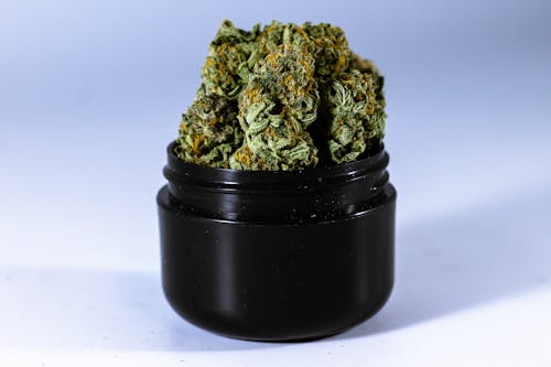 Green Kush on Black Round Container