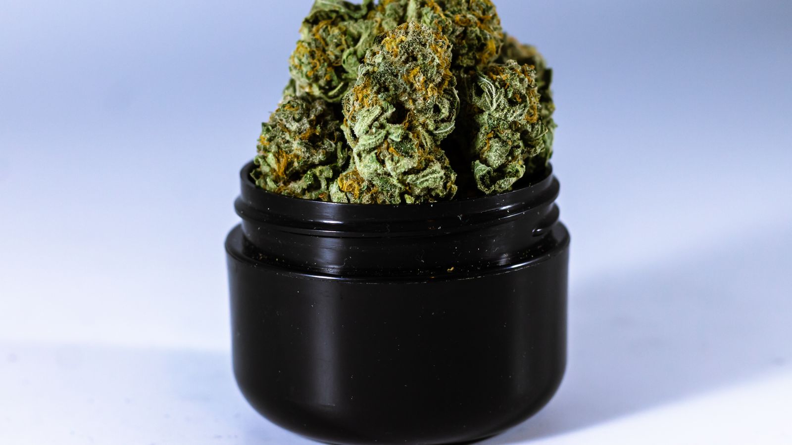 High-quality image of green cannabis buds in a black container against a neutral background.