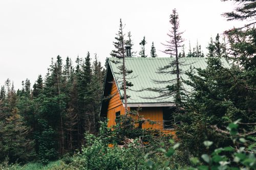 Free Rustic cabin nestled among lush trees in Sainte-Anne-des-Monts, Canada. Stock Photo