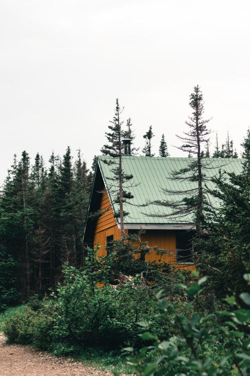 Free Charming wooden cabin surrounded by lush forest in Sainte-Anne-des-Monts, QC. Stock Photo