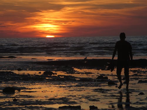 Silhouette of a Person Walking on the Sea Shore during Sunset