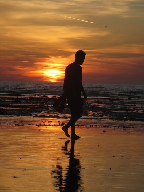 Free Silhouette of a Man at the Beach  Stock Photo