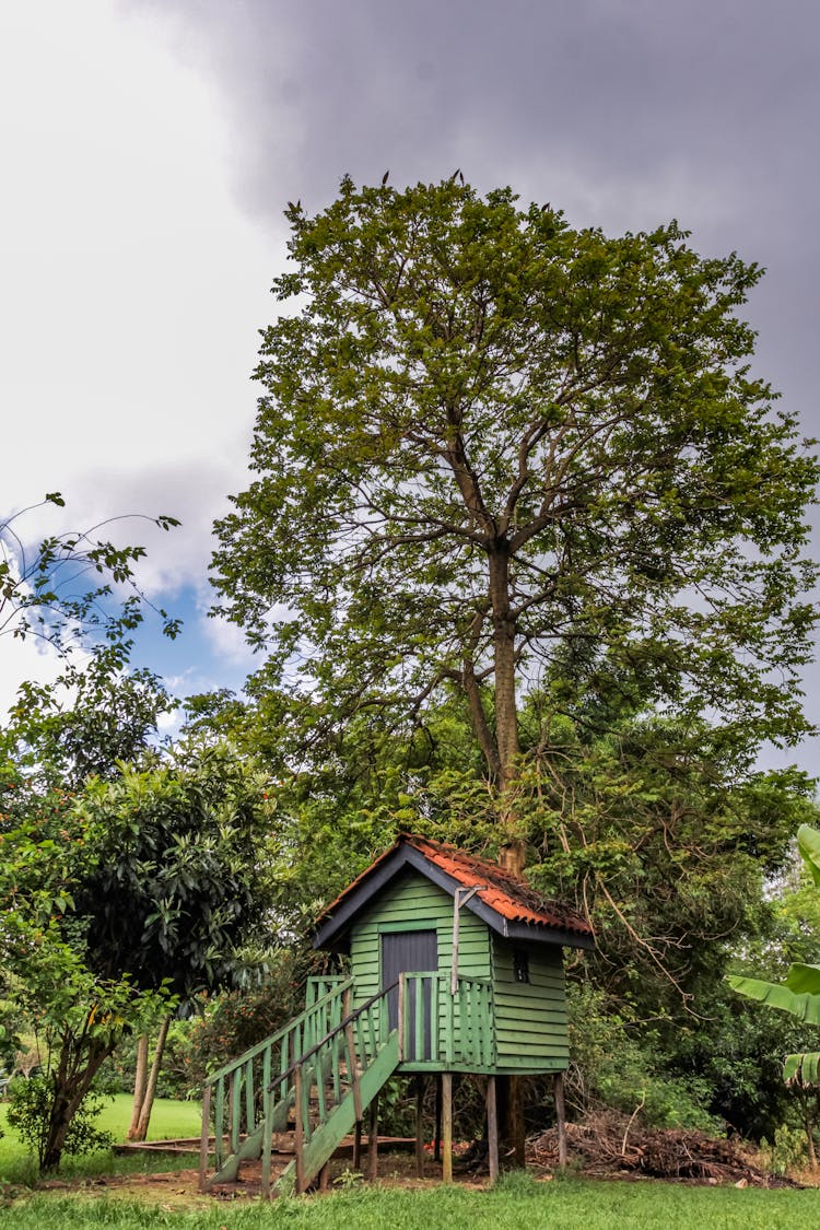 A Green Wooden House Under A Tree