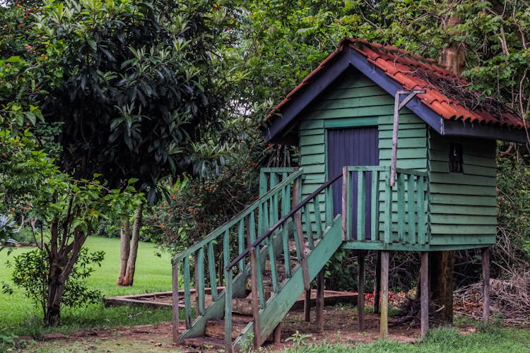 A Shed In A Yard