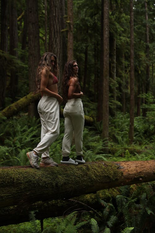 Women Standing on Tree Log