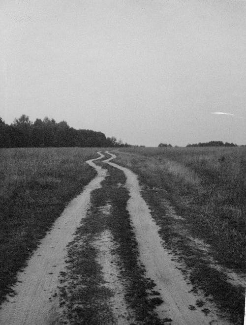 Grayscale Photo of Dirt Road between Grass Field