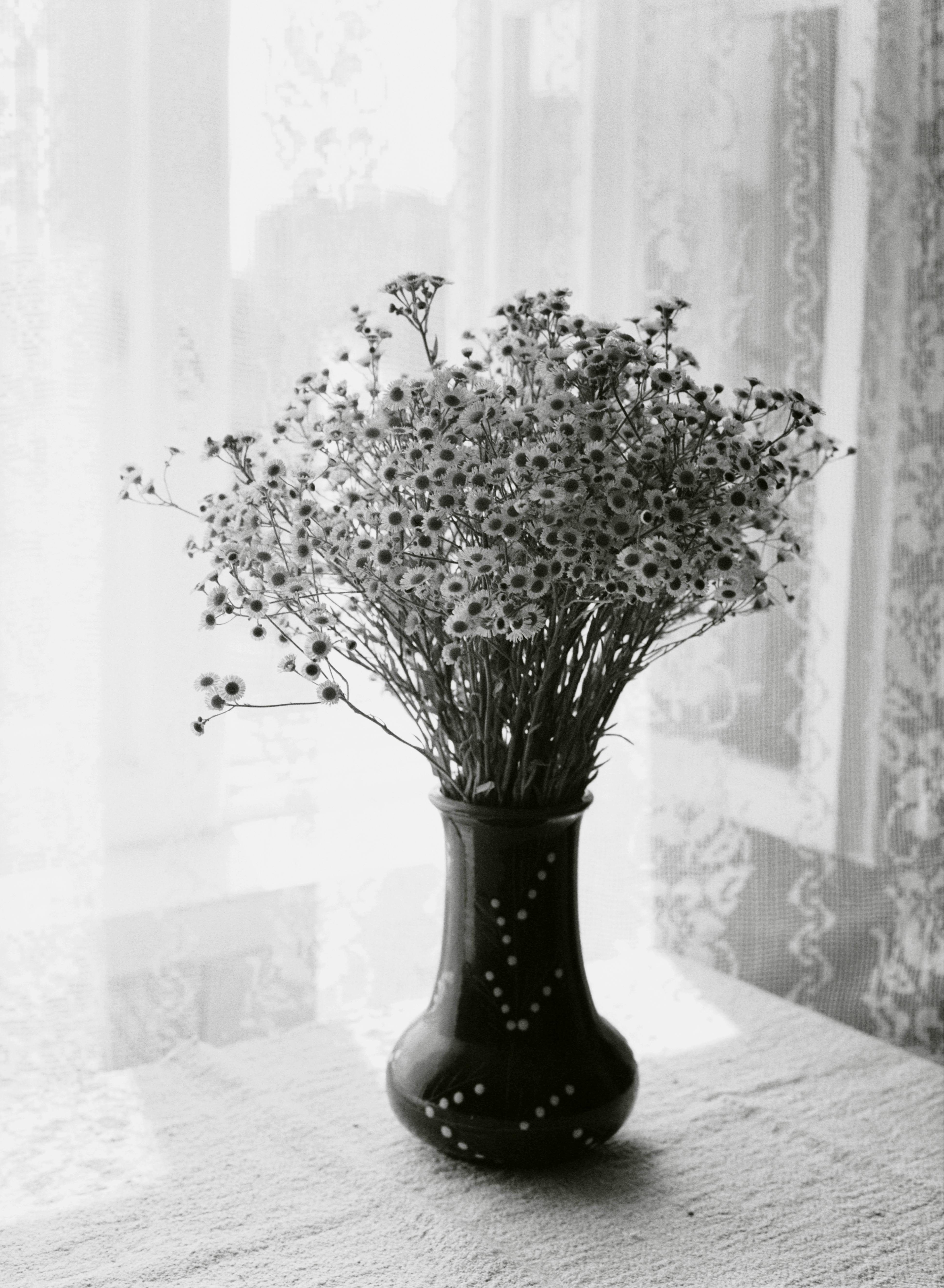 Dried Babys Breath Flowers in a Vase · Free Stock Photo