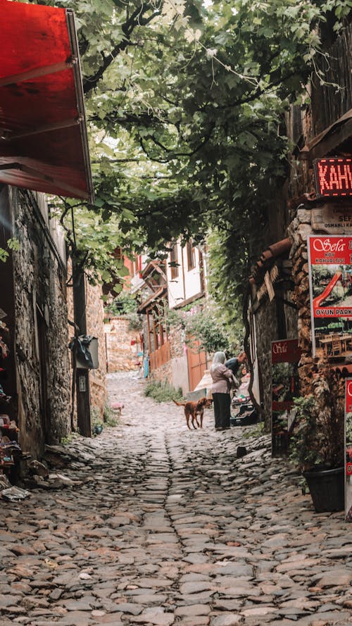 Cobblestone Surface of a Narrow Street