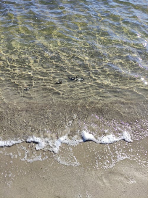 Water Waves on Gray Sand