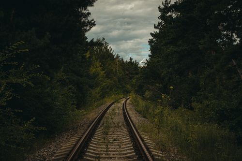 Free Peaceful railway tracks winding through a dense and lush forest setting under a cloudy sky. Stock Photo