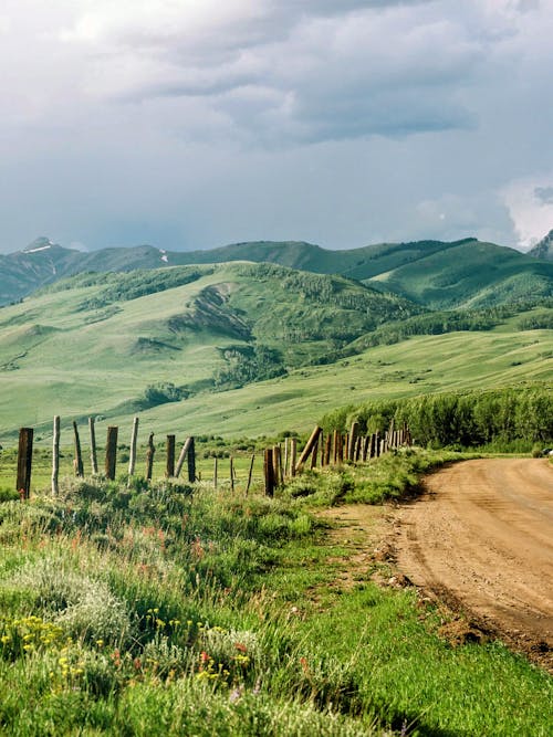 Dirt Road Near Grass Field and Green Mountains