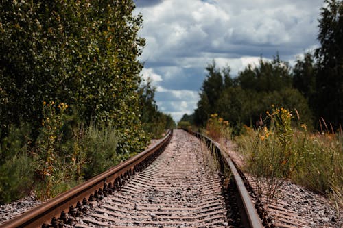 Бесплатное стоковое фото с деревья, железная дорога, железнодорожная линия