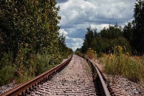 Free Scenic railroad tracks cutting through dense foliage under a cloudy sky. Stock Photo