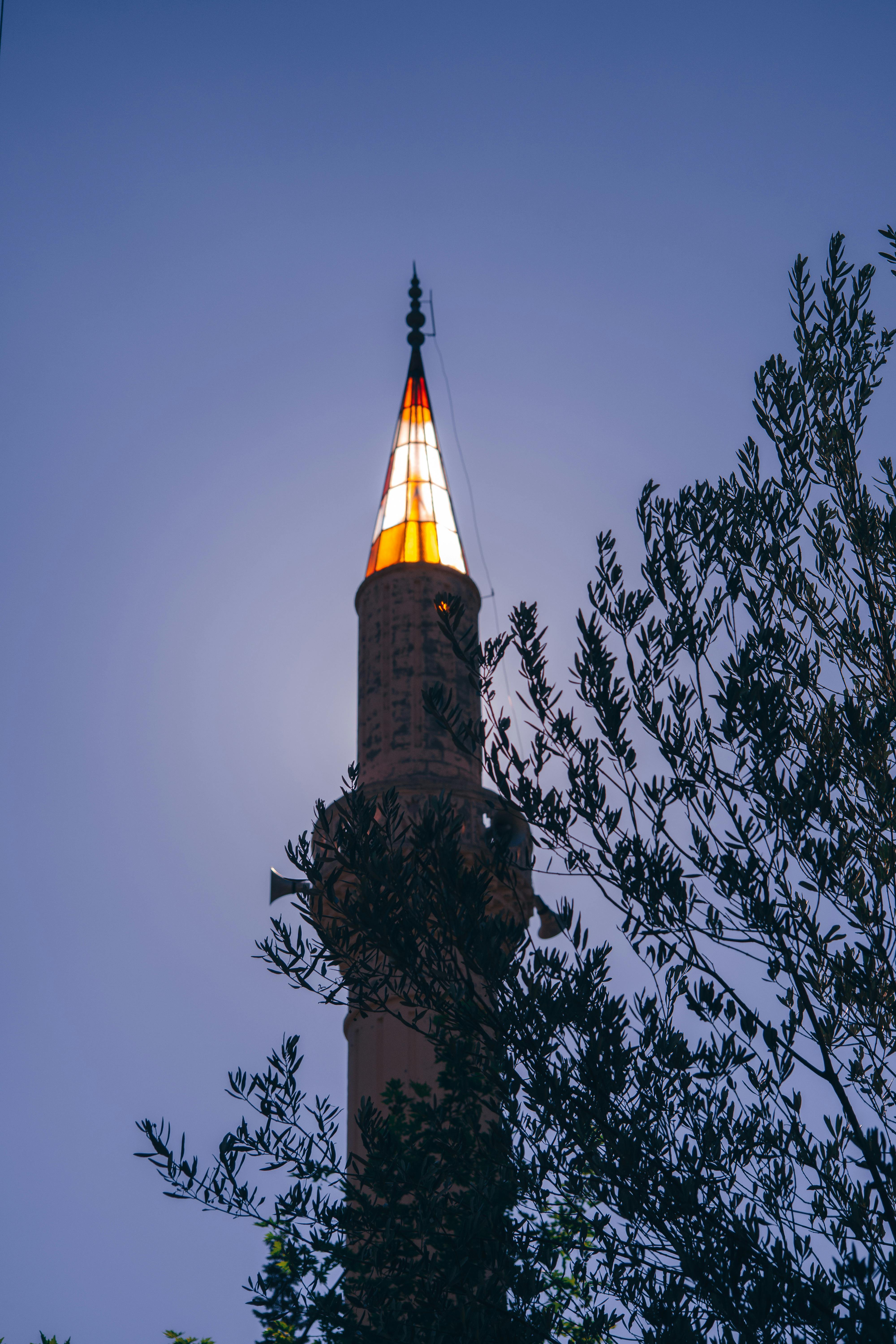 Free Vertical shot of an illuminated minaret at night against a clear sky and tree silhouette. Stock Photo