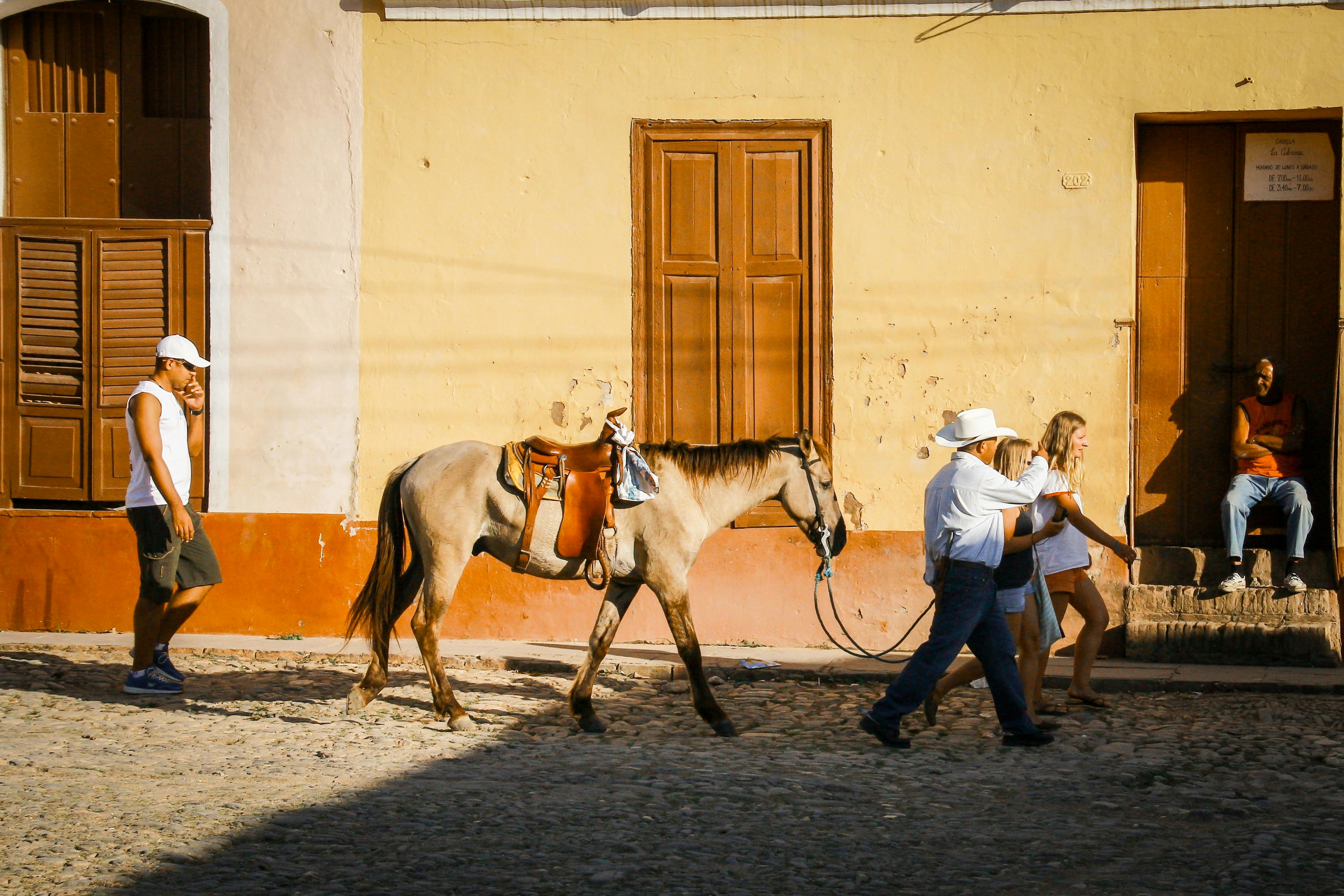 Horse led by human on a rustic street with people passing by, showcasing urban life.