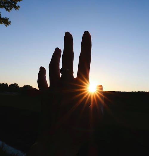 Kostnadsfri bild av fingrar, hand och sol, solnedgång