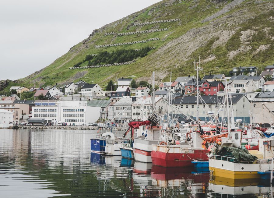 Picturesque harbor in Hol, Buskerud, Norway, featuring colorful fishing boats and hillside houses.