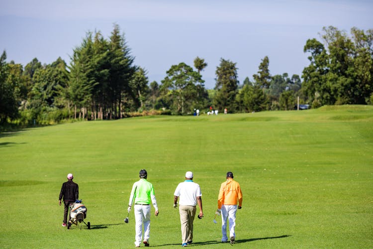 Golfers Walking On Green Grass Field