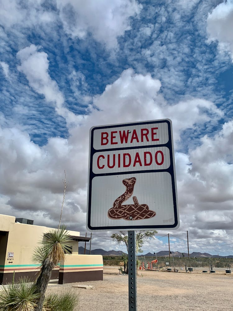 Beware Of Snakes In New Mexico