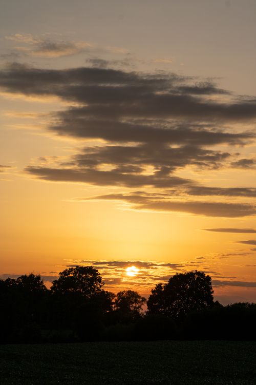 Free A peaceful sunset scene with silhouetted trees and a glowing sky. Stock Photo