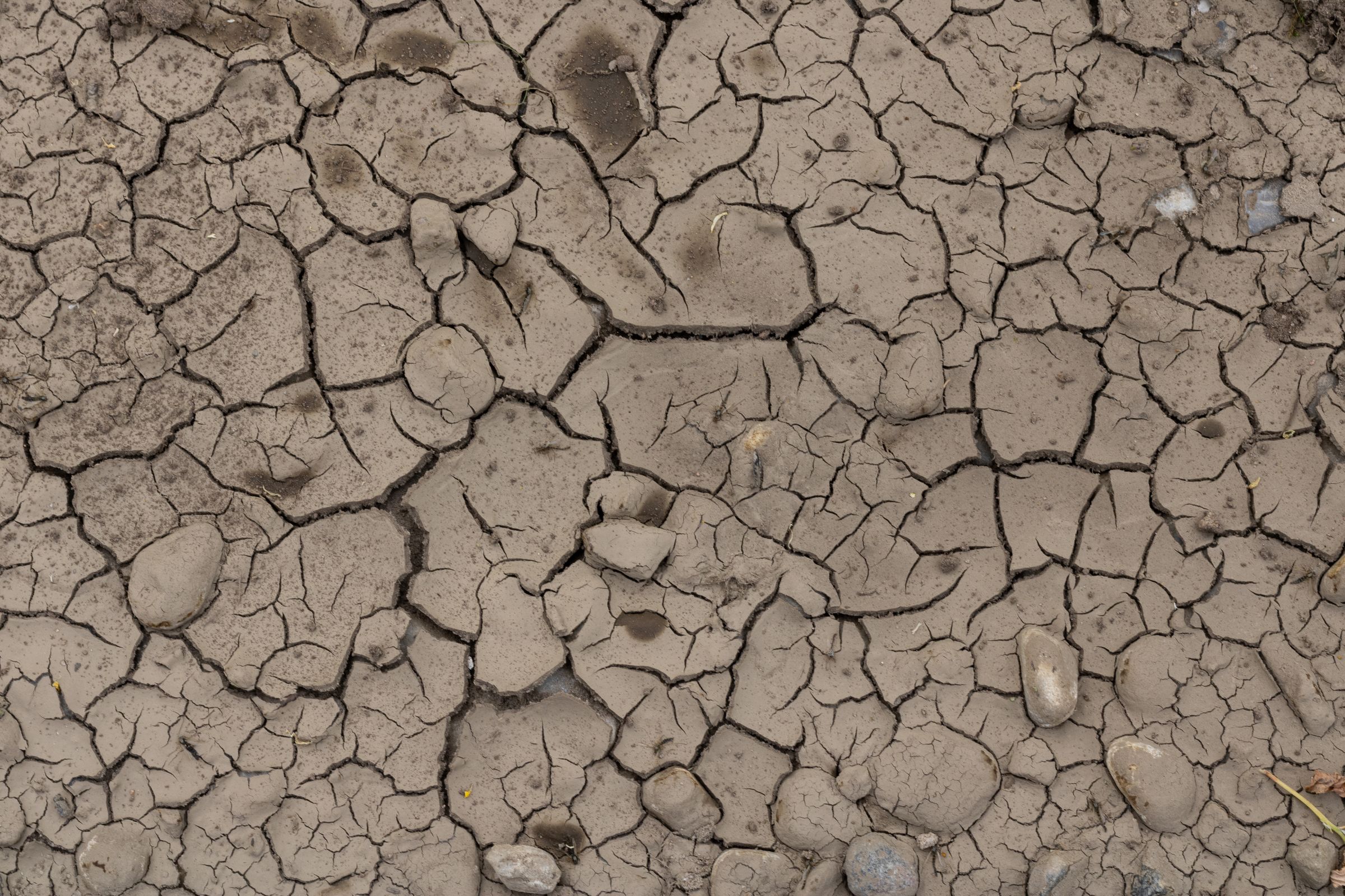Sudan Famine: 21 Million Hungry, World Looks Away