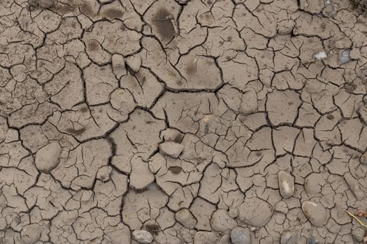 Cracked and dried out soil