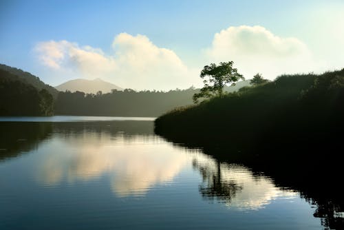 A Lake Between Trees Under the Blue Sky and White Clouds