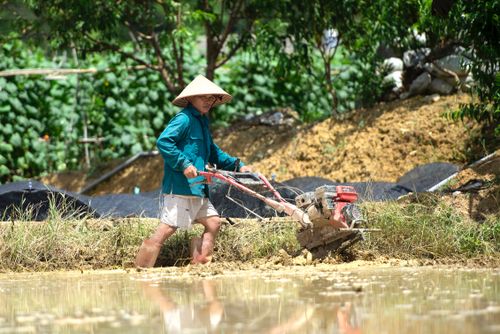 Free A farmer uses machinery to plow a muddy field in a lush, rural countryside setting. Stock Photo