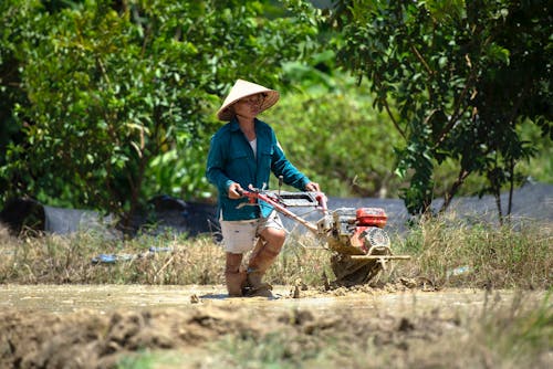 Man Using a Hand Tractor on Paddy Field