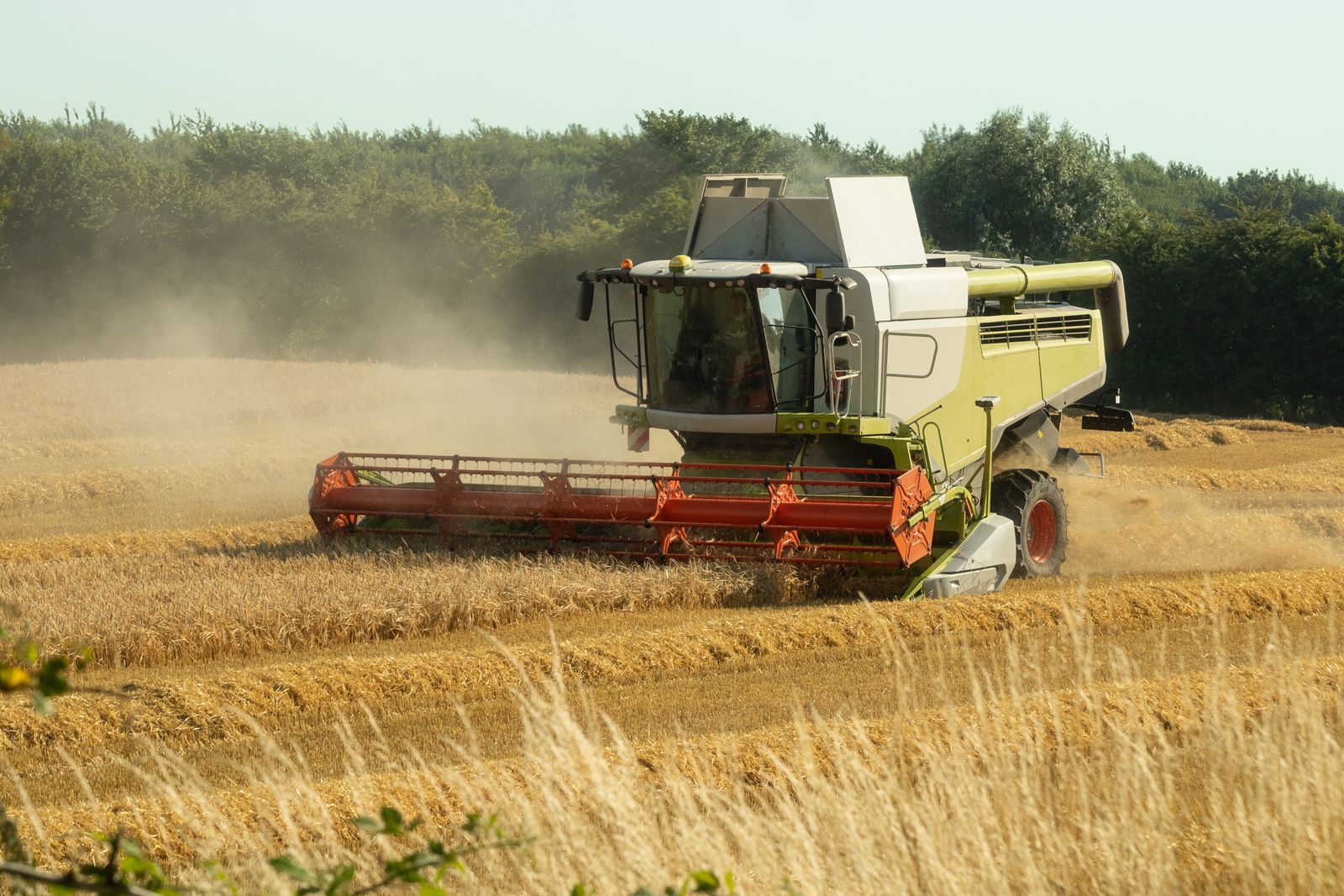 Combine harvester and tractor working a wheat field at harvest