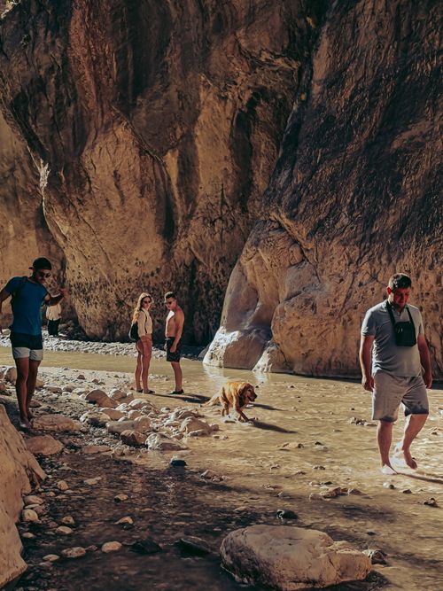 Free Adventurous day hike in a rugged canyon with friends and a dog enjoying nature. Stock Photo
