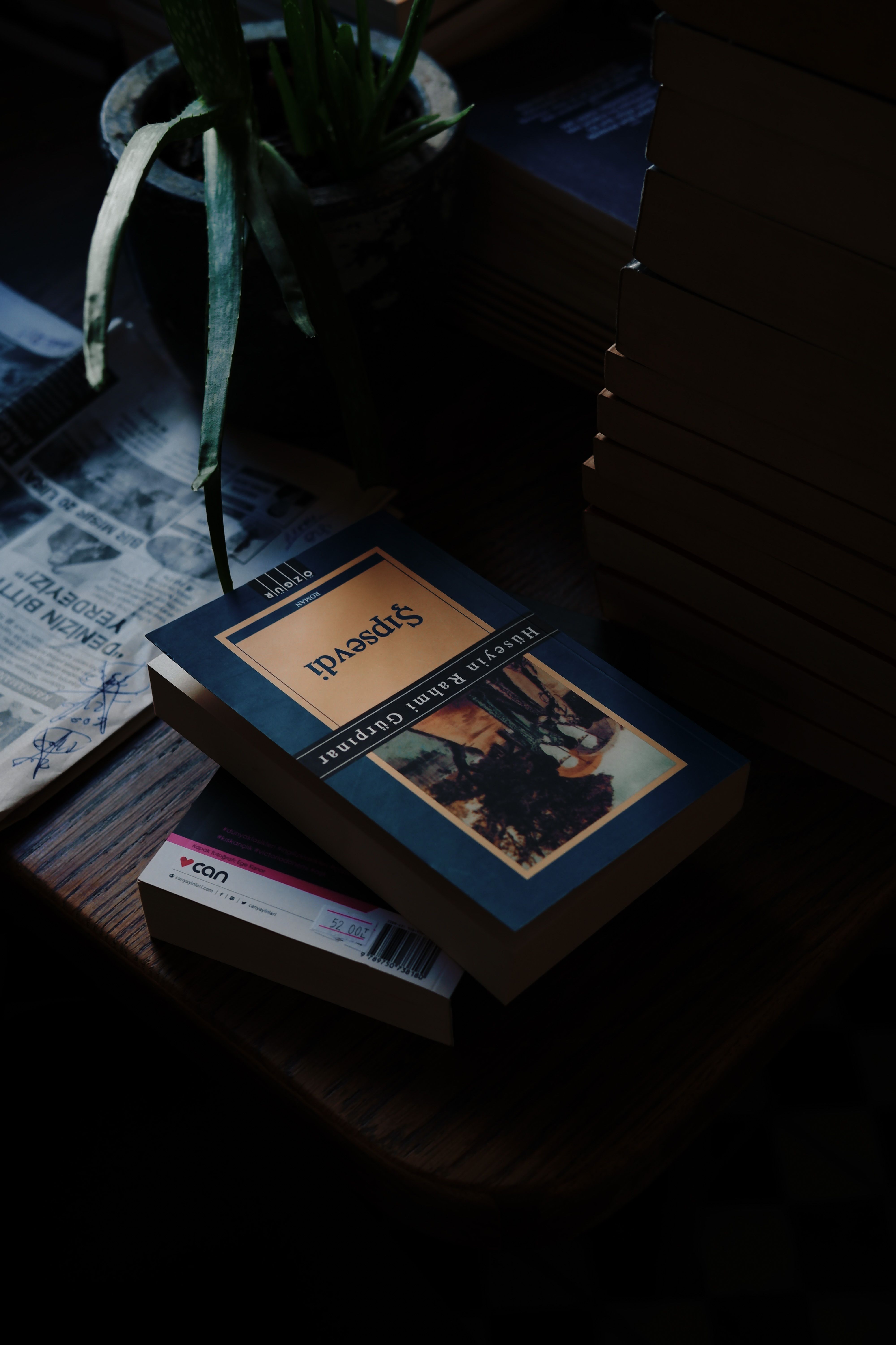 Moody still life image featuring books on a wooden surface with natural shadows.