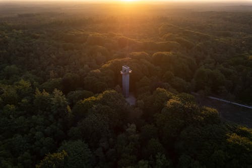 Free Aerial View of Tower Surrounded by Green Trees Stock Photo
