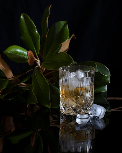 Бесплатное стоковое фото с алкогольный напиток, вертикальный выстрел, виски