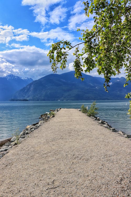 A Footpath Extending to a Body of Water with Mountain View