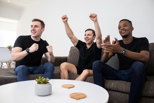 Men Enthusiastically Watching Sports