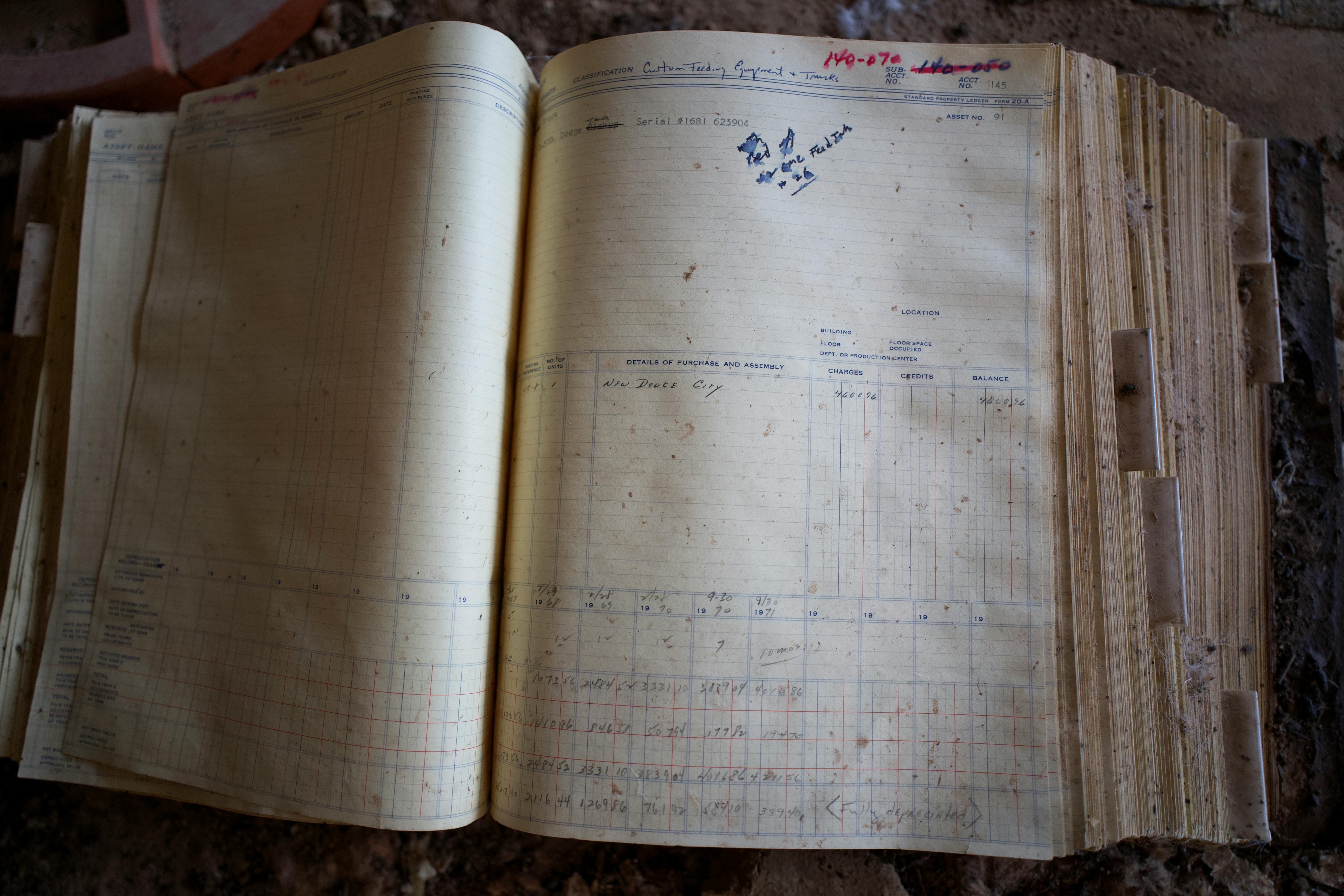 An open ledger book showing yellowing pages and handwritten entries, symbolizing the passage of time.