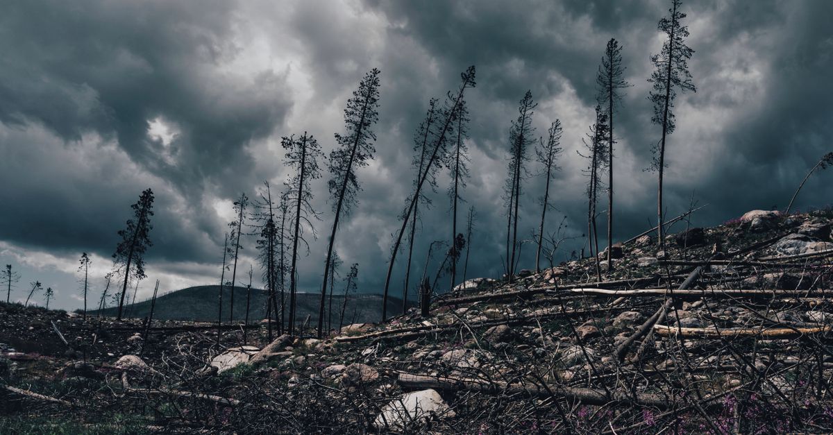 Why climate lawsuits are increasing worldwide Why climate lawsuits are increasing worldwide