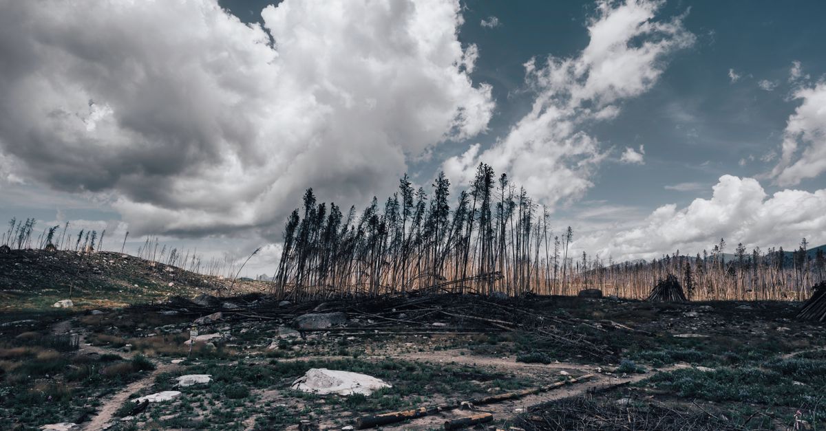 How scientific reports shifted global understanding of climate change How scientific reports shifted global understanding of climate change