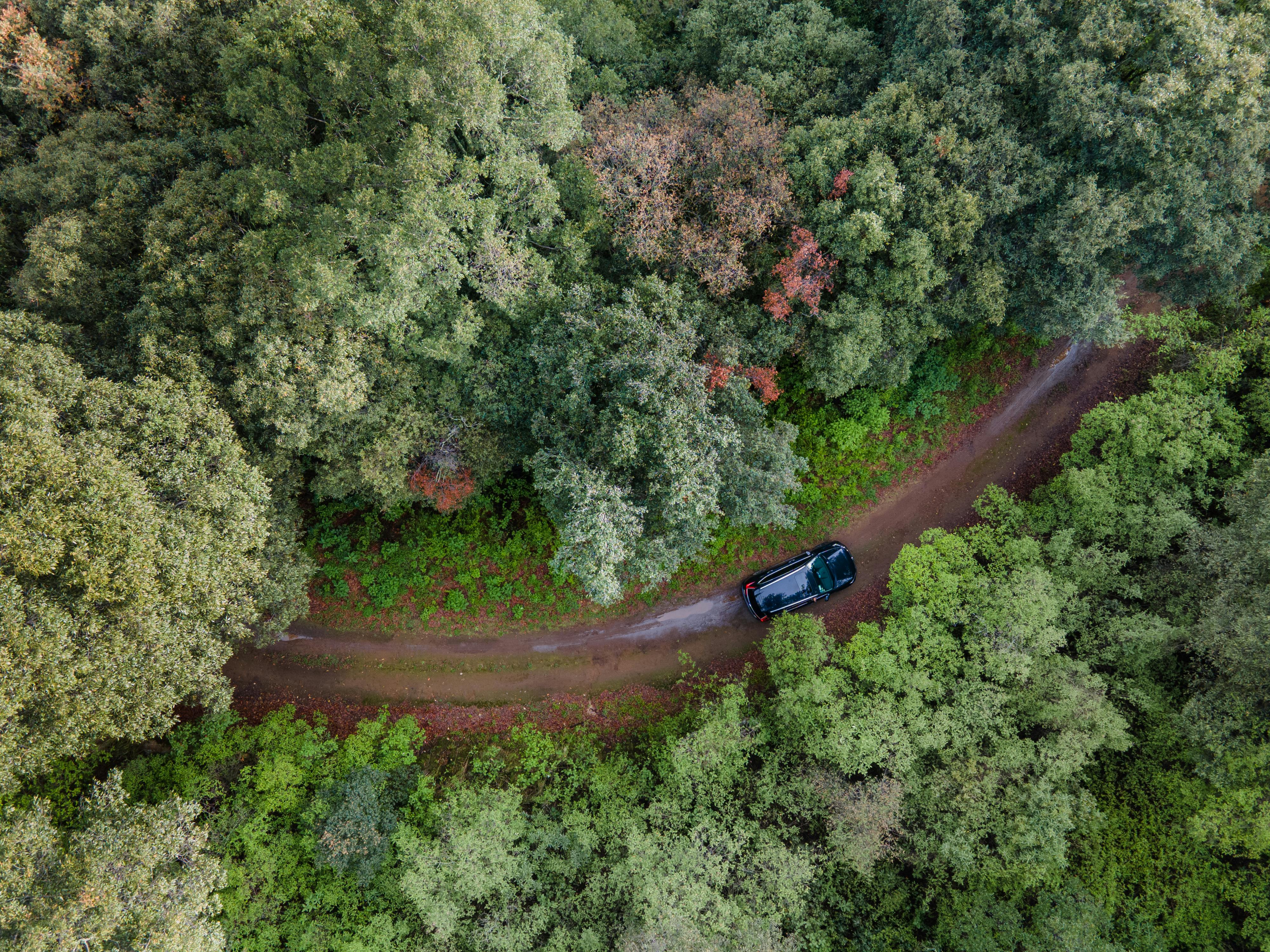 evs explained green transportation — Photo by Amar  Preciado on Pexels
