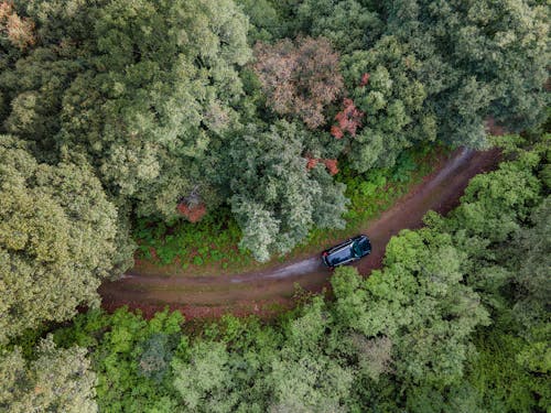 Aerial Photography of a Black Car on Dirt Road between Green Trees in the Forest