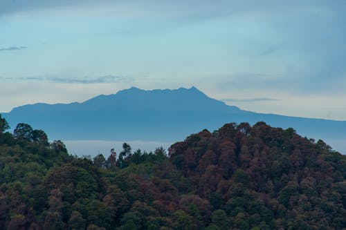 Silhouette of Mountain Under the Blue Sky