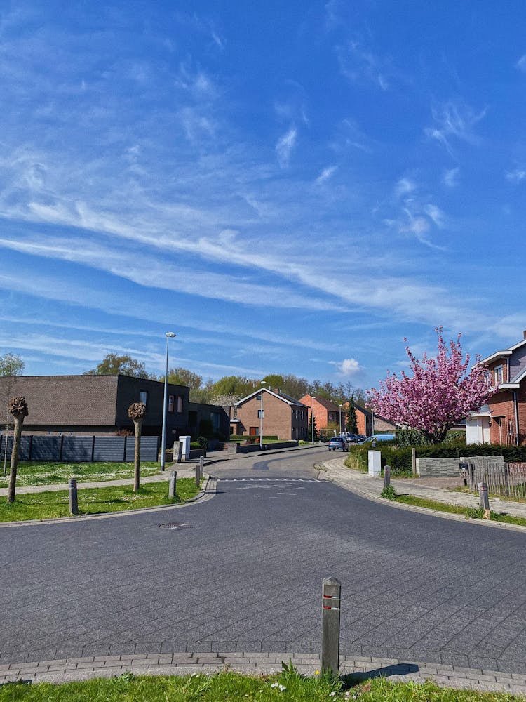 Suburban Street In Spring