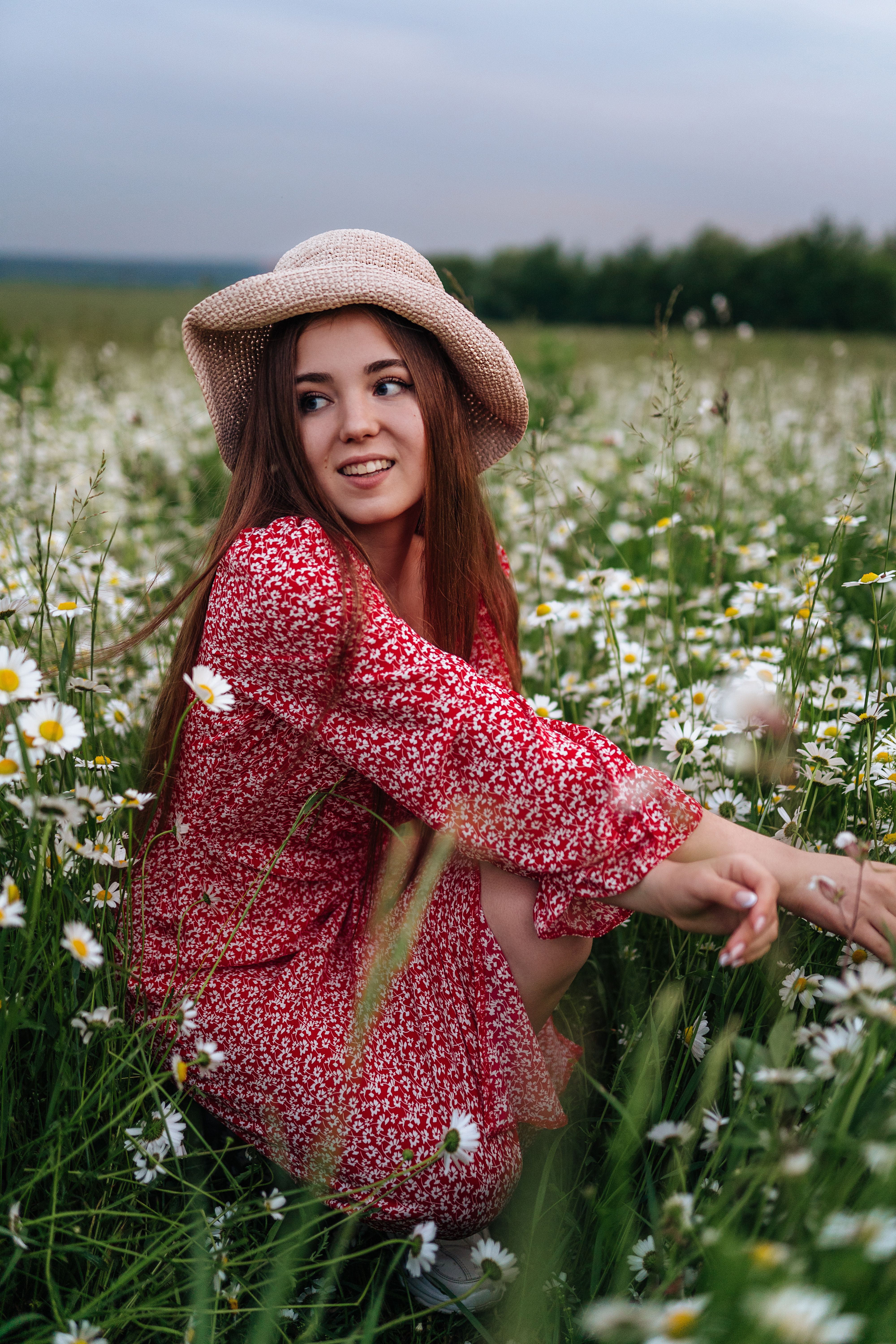 A Woman in Red Floral Dress Sitting on Flower Field · Free Stock Photo