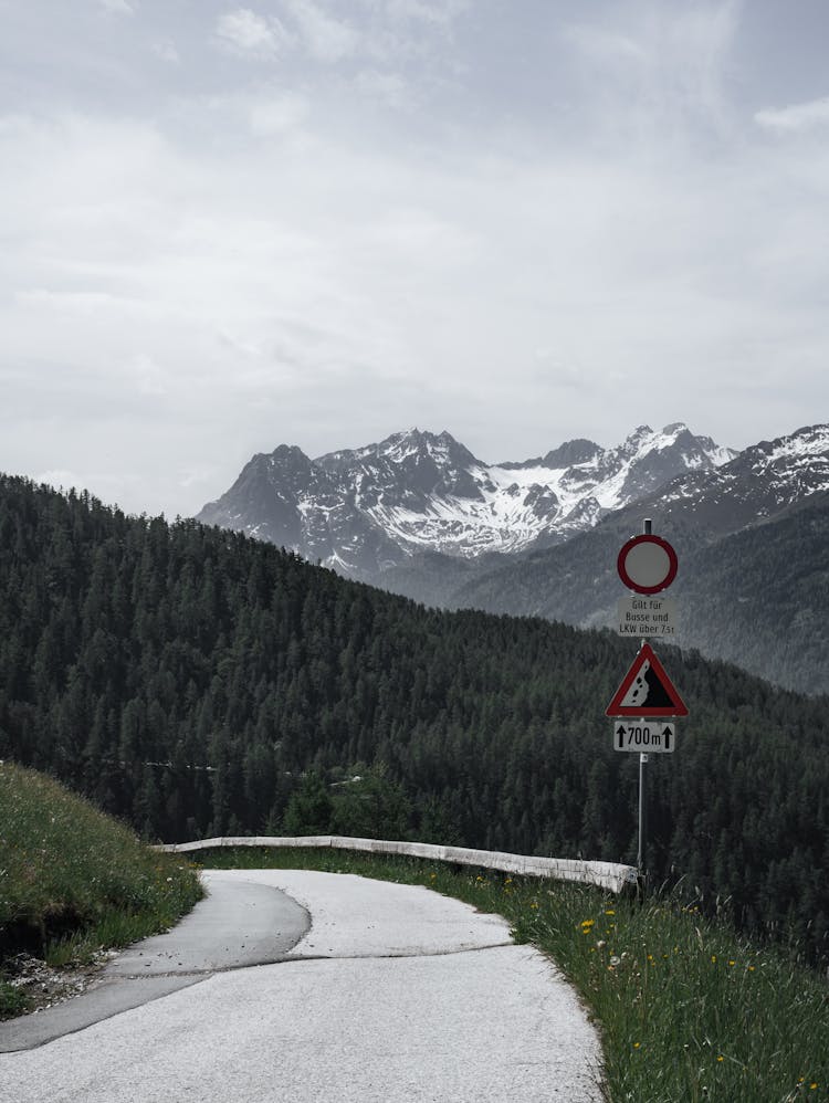 Empty Road Near Green Trees