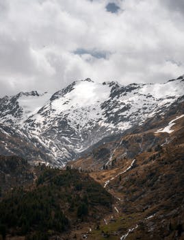 Image by Niklas Jeromin